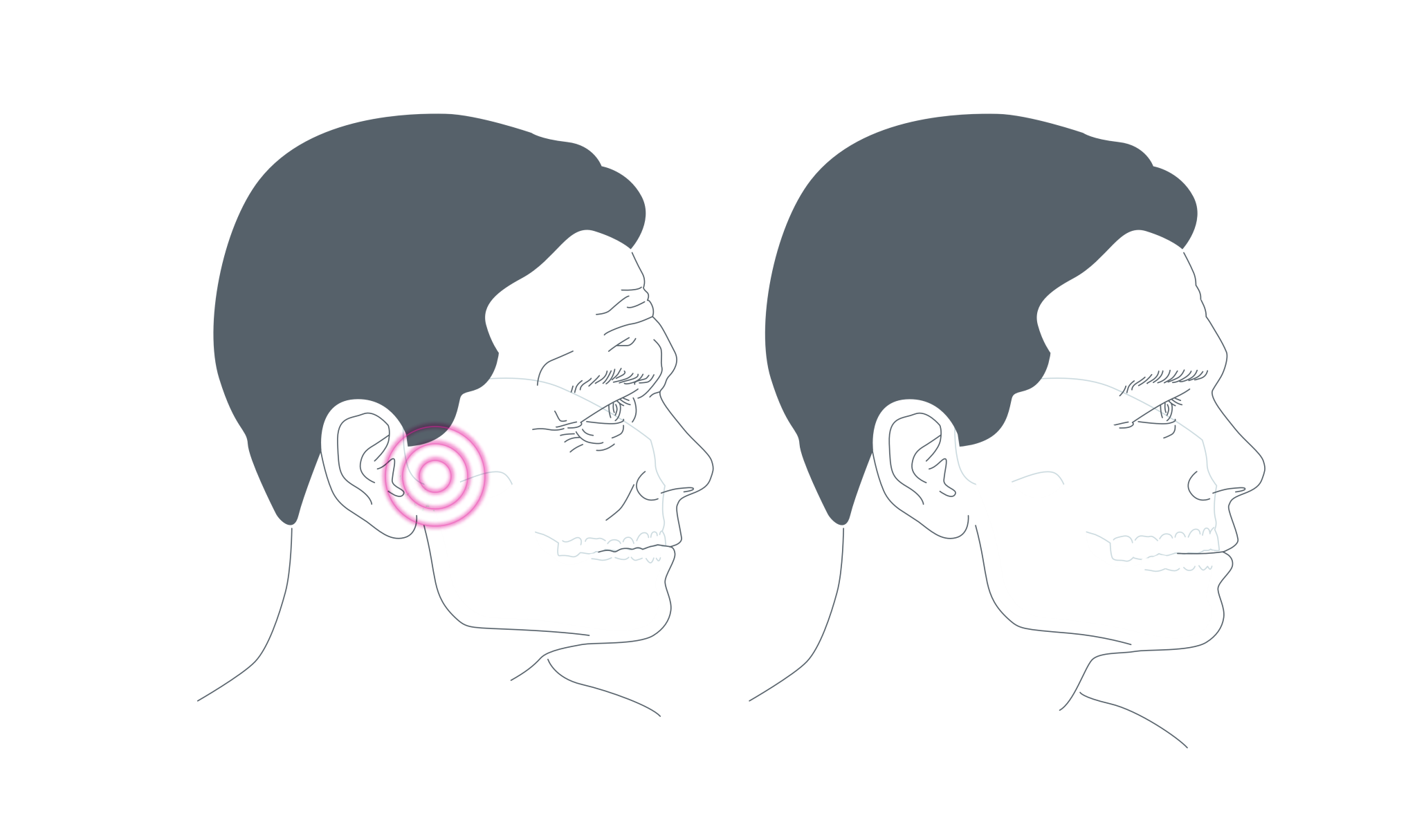 Гнатология.png